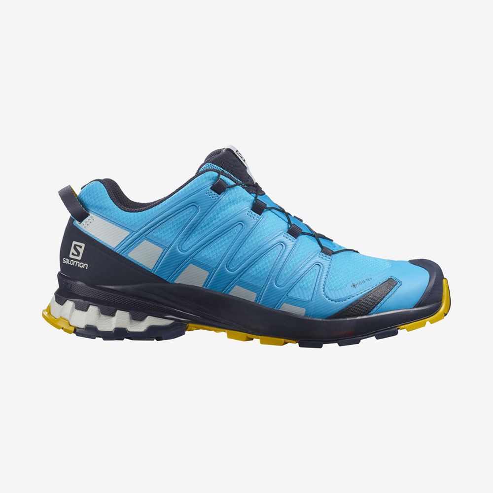 Salomon Israel XA PRO 3D V8 GORE-TEX - Mens Hiking Shoes - Blue (XHWU-95168)